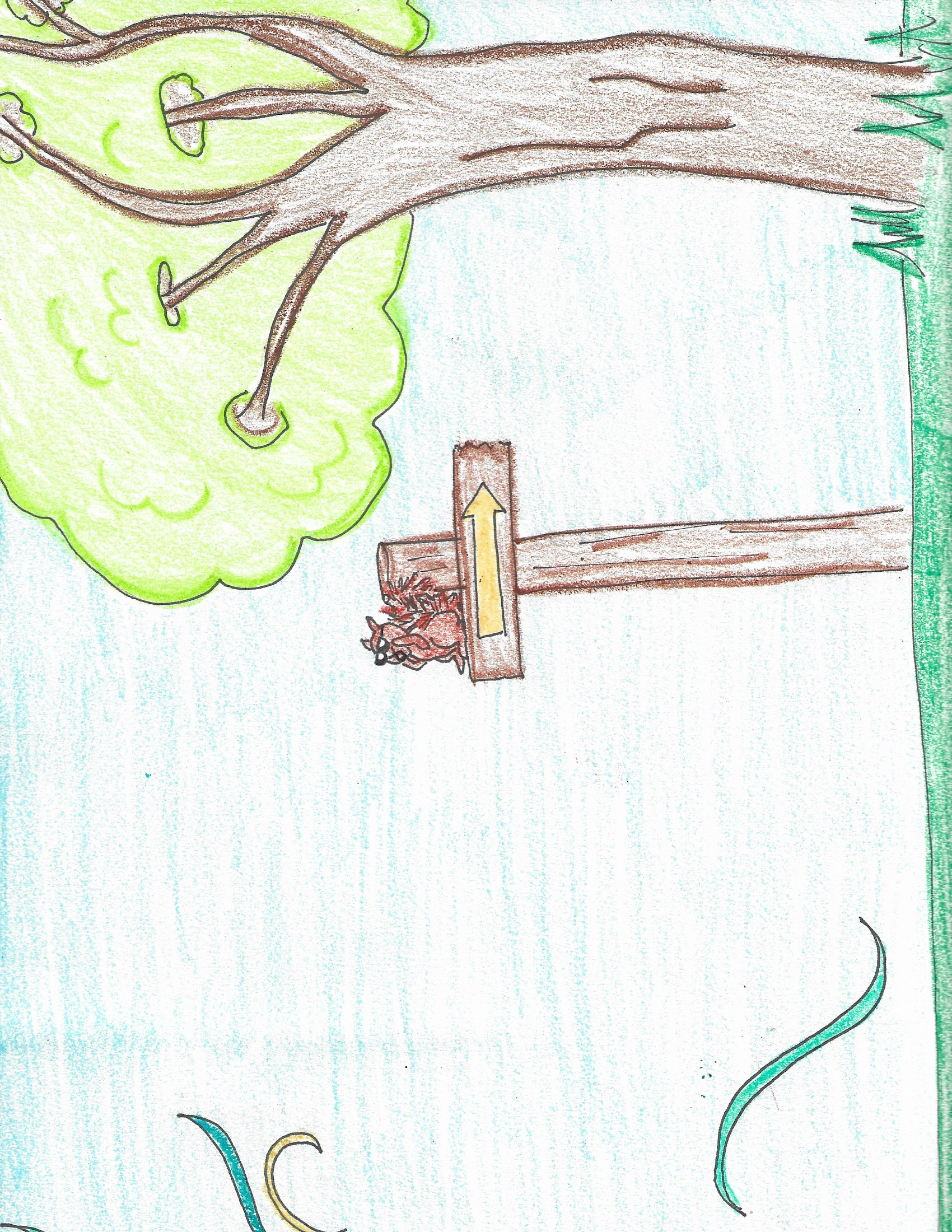 A signpost pointing the way — from Pedal Pedal